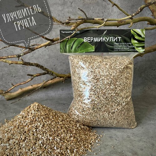 ������ ������ ���������� ��� ��������� �������� ������������ ������ 2 ����� ����