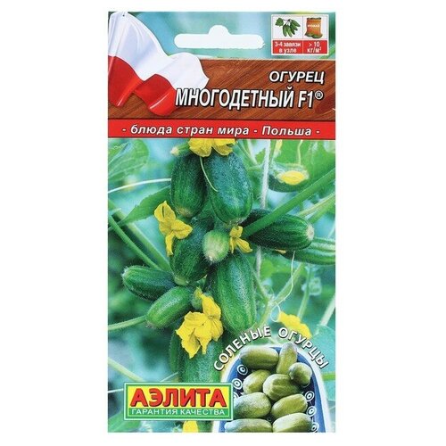 ������ ������ ������. ������ 