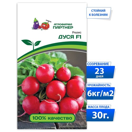 ������ ������ ������ ����� ���� F1 / ��������� �������/ ����