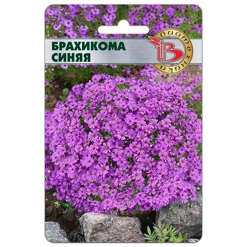 ������ ������ ����� ��������� ����� (������ ���������� 200��) ����