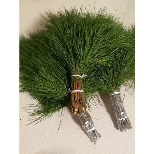 ������ ������ ������ ��� ���� �������� 3 �� ����