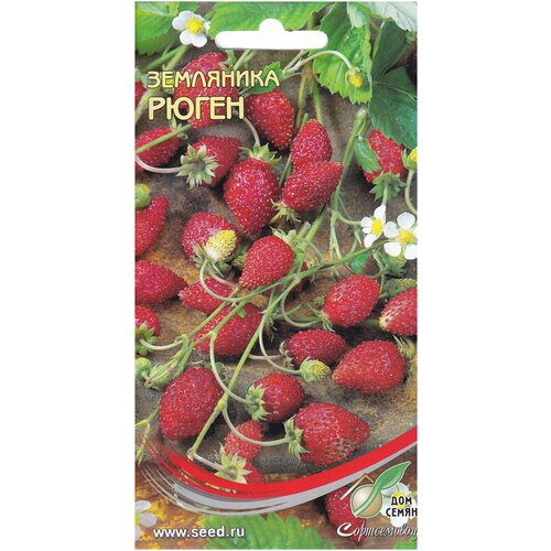 ������ ������ ��������� �����, 60 ����� ����