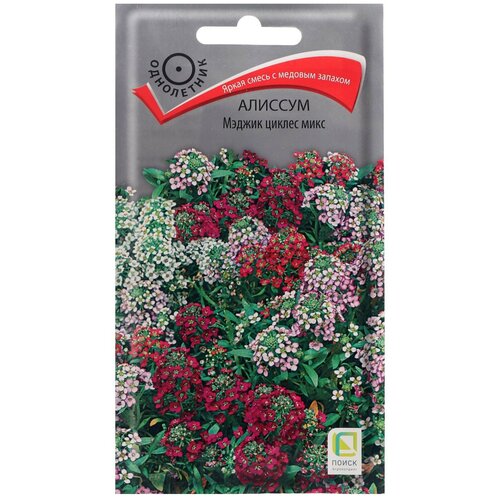 ������ ������ ������ ������ ������� 