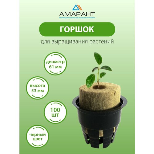 ������ ������ ������ ������� ��� ������� � ������������� ��������� 100 �� ������ ����