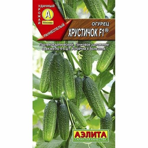 ������ ������ ������ ������ ��������� F1 ����, �����������, (������) 10�� ����