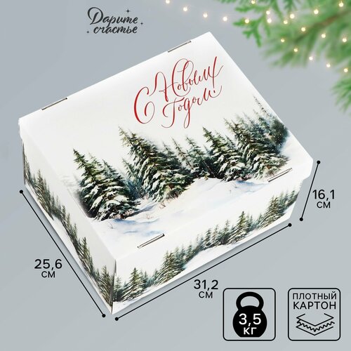 ������ ������ ������� ���������� ������� ���, 31.2 � 25.6 � 16.1 ��, ����� ��� ����