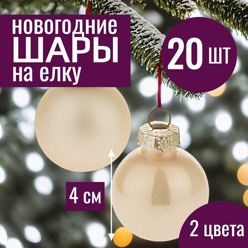 ������ ������ ���� �� ���� ���������� 4�� ����� ������� ������� ������ 20 �� ������� ����