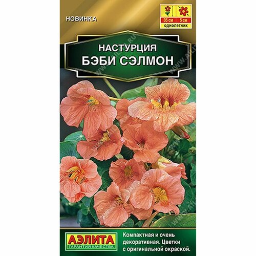 ������ ������ ������ ��������� ���� ������, ����������, (������) 1� ������� ����� ����