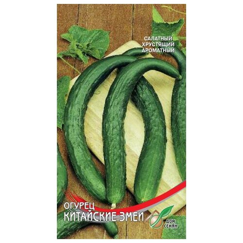 ������ ������ ������ ��������� ����, 8 ����� ����