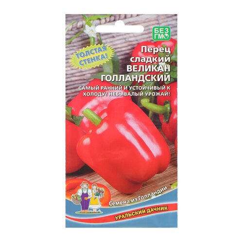 ������ ������ ����� ������� 