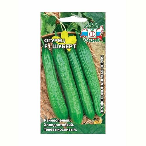 ������ ������ ������ F1 ������ ����