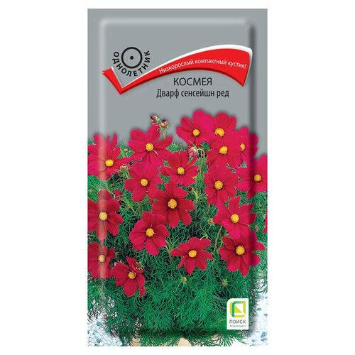 ������ ������ ������ ������ ����� �������� ��� 0,2�� (�����) ����