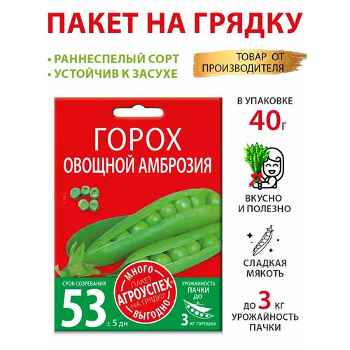 ������ ������ ������ ������ �������� 40� ����