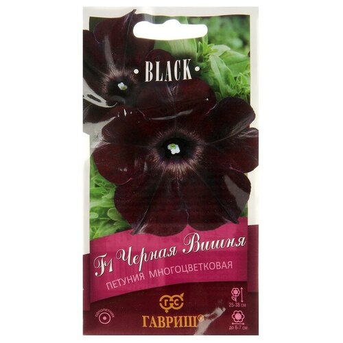 ������ ������ ������ ������ Black ������� �������������� ������ ����� F1, ������� ����