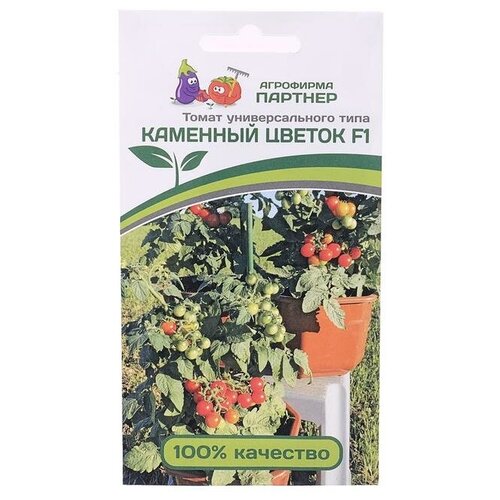 ������ ������ ������ ������ 