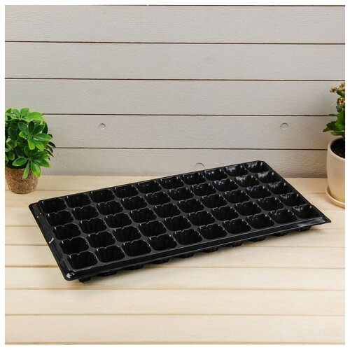 ������ ������ ������� ��� �������, 50 ����� �� 70 ��, ������, Greengo ����