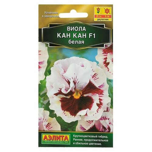 ������ ������ ������ ������ ����� 