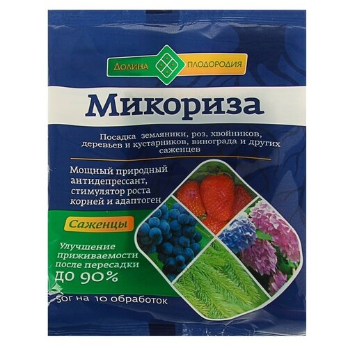 ������ ������ ��������� ������ ���������� ��������, 0.05 �, 50 �, 1 ��. ����