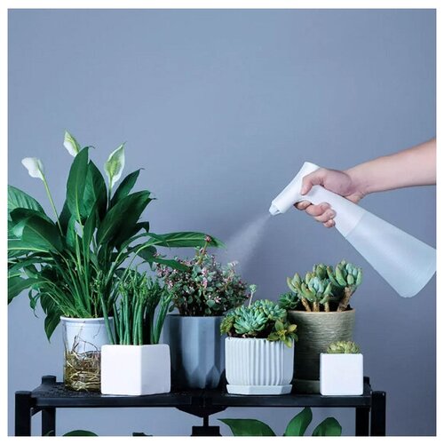    Xiaomi Xiaoda Electric Watering Can 550  (XD-DDPH01)   -     , -,   