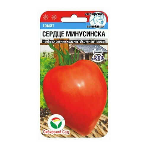 ������ ������ ������ ����� ������ ���������� 20�� ����� (��������� ���) ����