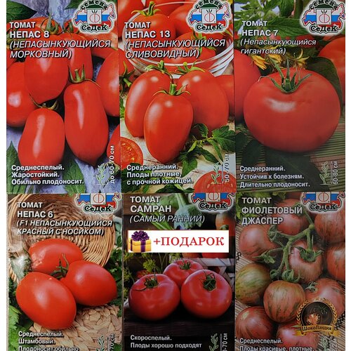 ������ ������ ����� �� 6 ����� �����������, ��������� ������ ������� �� �� ����� ����