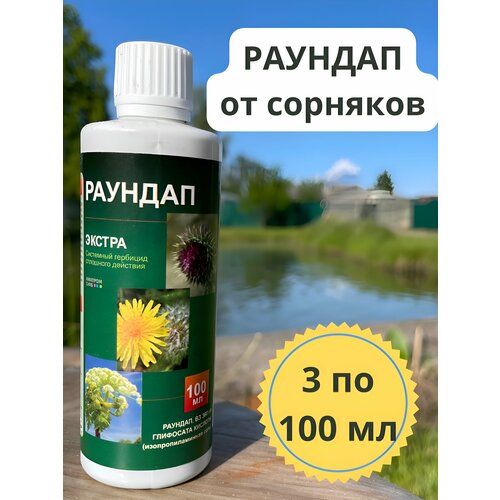 ������ ������ ������� �� �������� 300�� ����