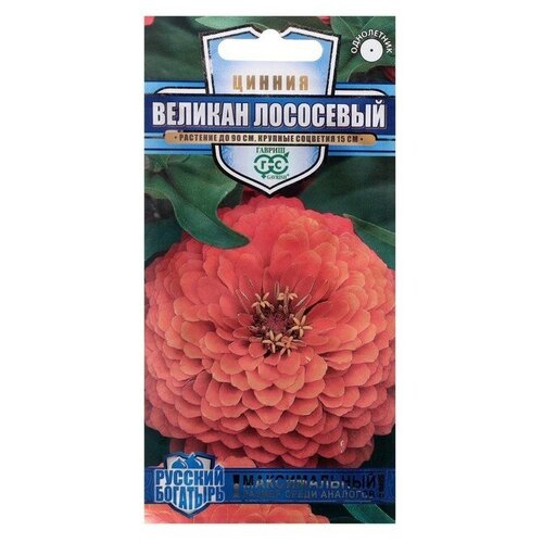 ������ ������ ������ ������� ��������� 0,3� ������ ����