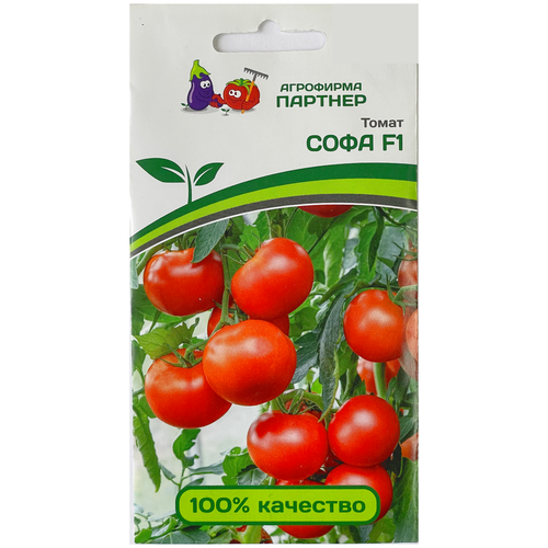 ������ ������ ������ ������ ���� F1 / ��������� �������/ ����