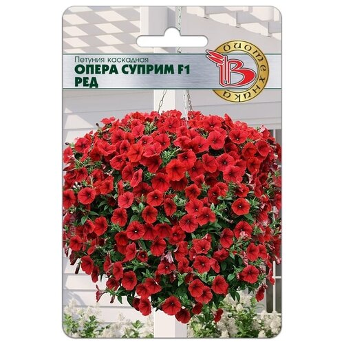 ������ ������ ������ ������� ��������� 