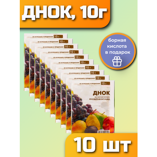 ������ ������ ���� 10 � �������� ��� ���� �������� ��������. ���������������. 10 ����� ����