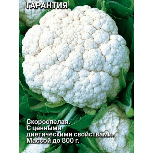 ������ ������ ������ ������� ������� �������� ����