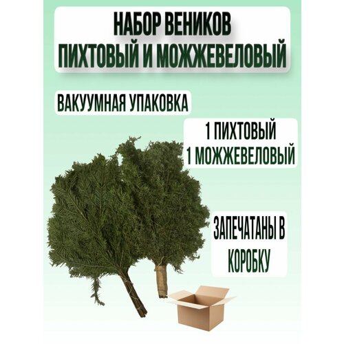 ������ ������ ������������ � �������� ����� ����