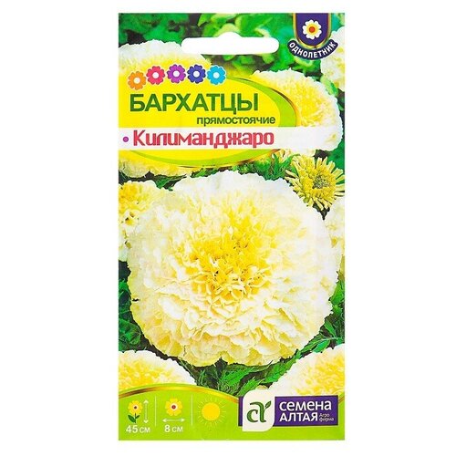 ������ ������ ������ ������ �������� 