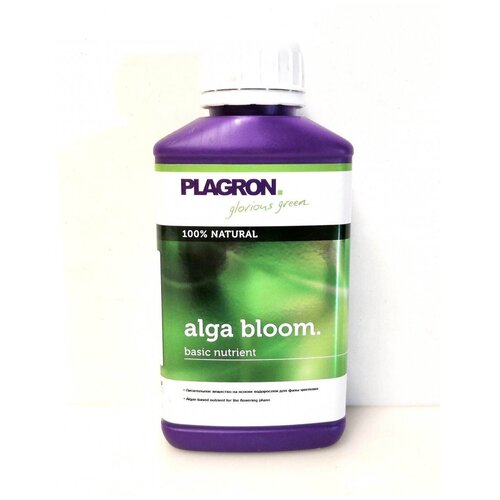    Plagron Alga Bloom    0.25   -     , -,   