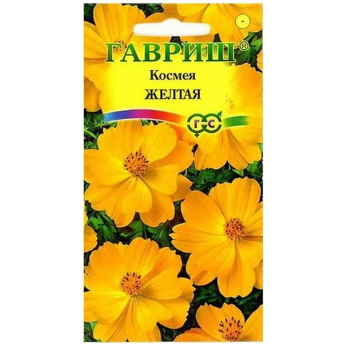 ������ ������ ������. ������ 