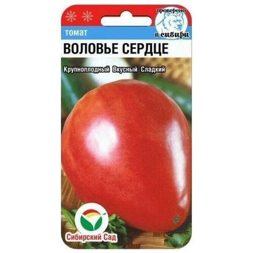 ������ ������ ����� ������� ������ ����