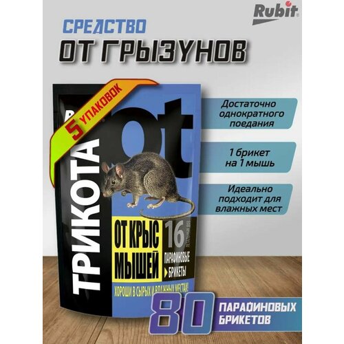 ������ ������ ����������� ������� �� ���� � ����� ������� 5 �������� ����