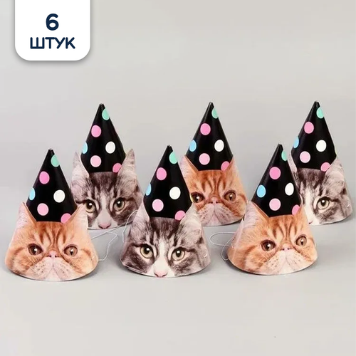 ������ ������ ������ ������ ������������� 6��/G ����