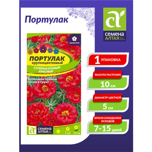 ������ ������ ������ �������� ������������� ������� ���������� 0,1 ��. ����