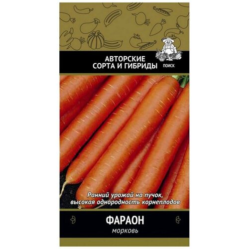 ������ ������ ������ ������� ����� ������ 300 �� ����