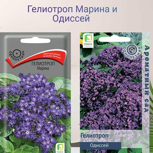 ������ ������ ��������� ������ � ������� 2 ������ ������ ����