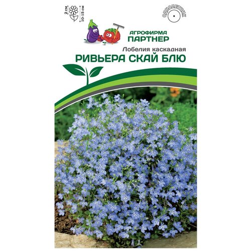 ������ ������ ������ ������� ��������� 