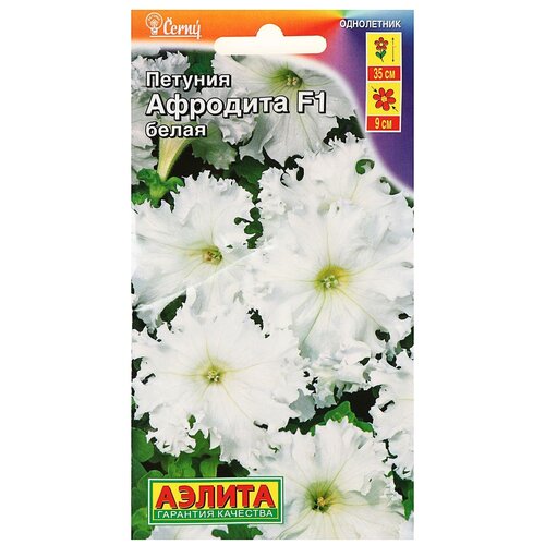 ������ ������ ������ ������� �������� F1 ����� ���������������, 10 �� ����