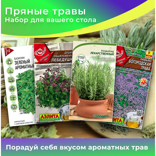 ������ ������ ����� ����� 