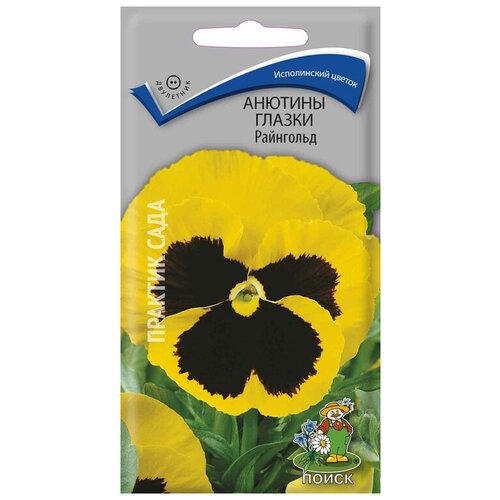 ������ ������ ������� ������ ��������� ����