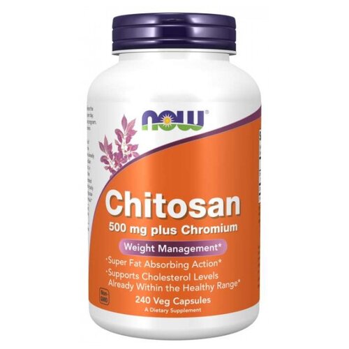  Chitosan ., 500 , 230 , 240 .   -     , -,   