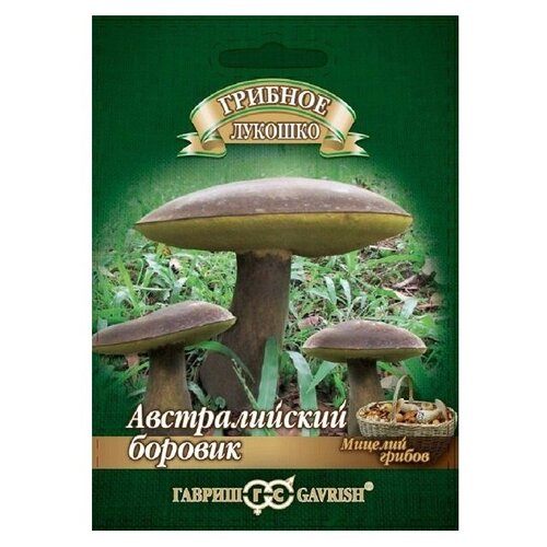 ������ ������ ������� ������� ������������� ���� �� �������� ���������, 15 ��, ������ ����