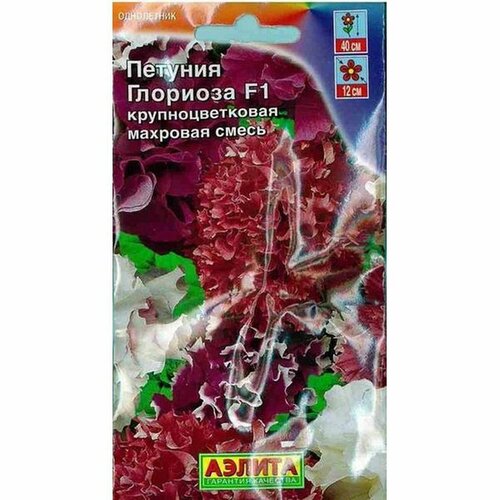 ������ ������ ������ ������� �������� F1 ��������. ��������, �����, ����������, (������) 10�� ����