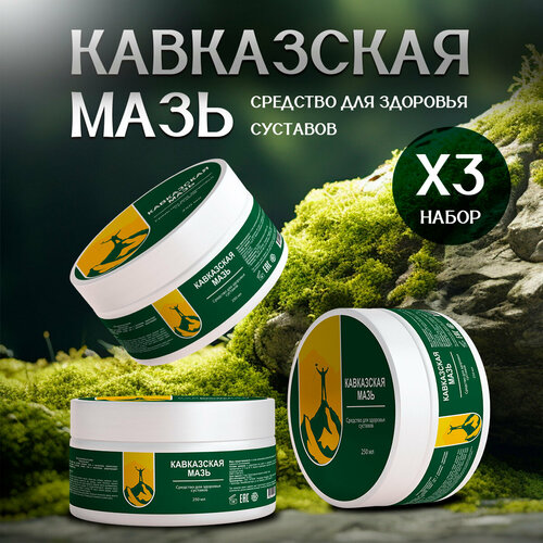 ������ ������ ���������� ���� - ����������� �������� ��� �������� � ������ ����