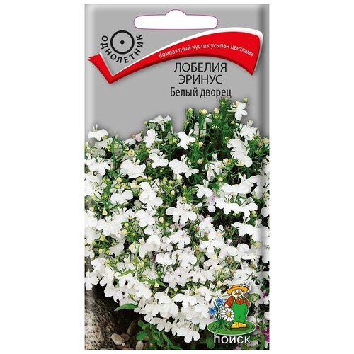 ������ ������ ������ ������� ������ ����� ������ ���������� 0,1 ��. ����